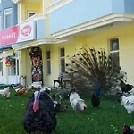 Basaranlar Thermal 4* Gazligol