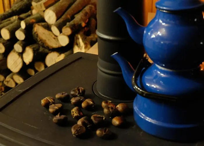 Basaranlar Thermal Hotel de apartamente 4*