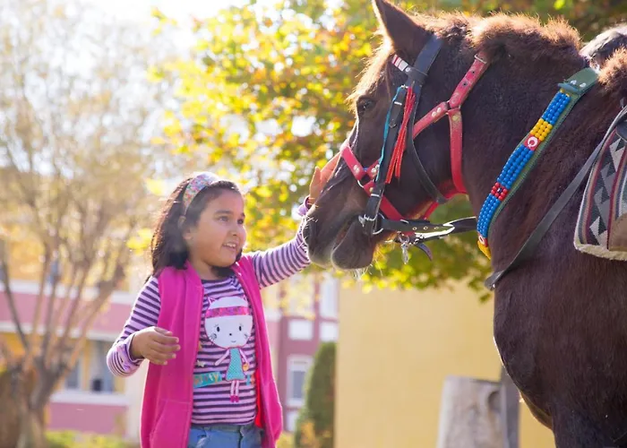 巴萨兰拉尔温泉公寓式酒店 公寓式酒店 4*