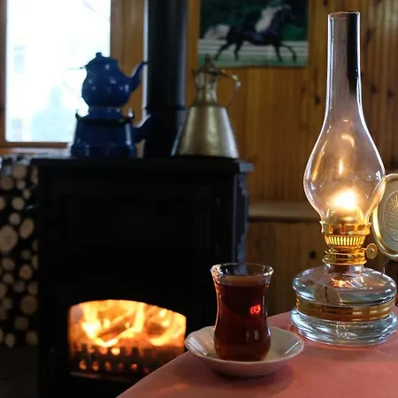 Basaranlar Thermal Gazligol