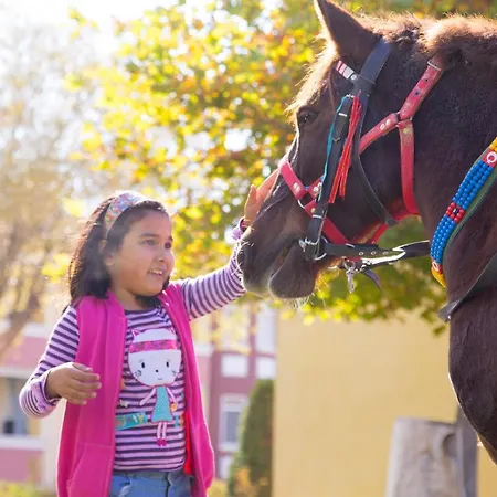 Basaranlar Thermal アパートホテル 4*