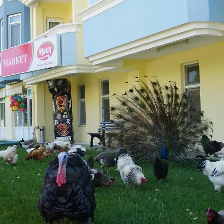 Basaranlar Thermal 4* Gazligol