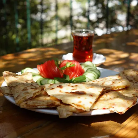 Basaranlar Thermal 4* Gazligol