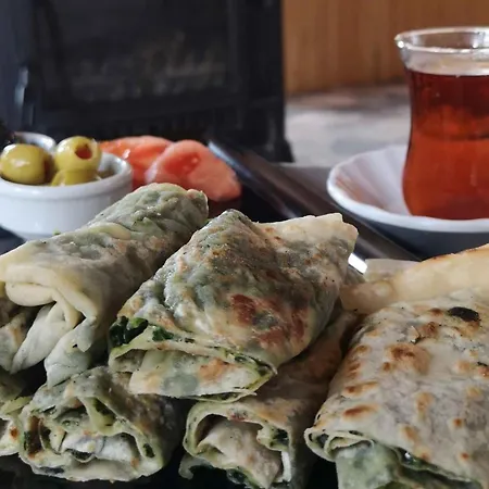 Aparthotel Basaranlar Thermal Gazligol