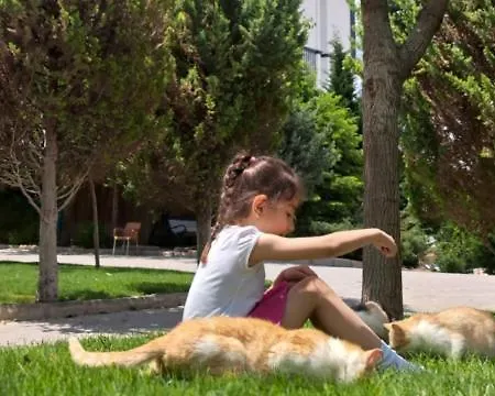 Basaranlar Thermal 4* Gazligol