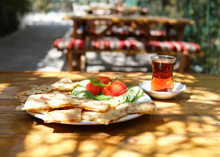 Apart Otel Basaranlar Thermal Gazlıgöl