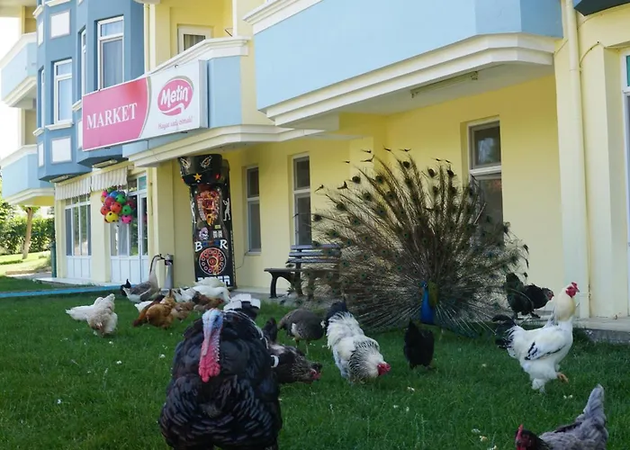 Basaranlar Thermal 4* Gazlıgöl