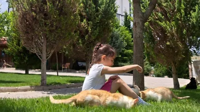 Basaranlar Thermal 4* Gazlıgöl